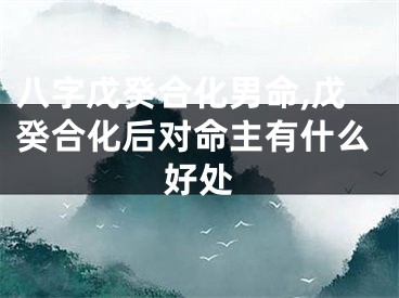 八字戊癸合化男命,戊癸合化后对命主有什么好处