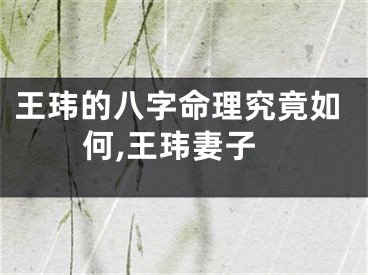 王玮的八字命理究竟如何,王玮妻子