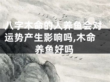 八字木命的人养鱼会对运势产生影响吗,木命养鱼好吗