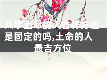 八字土命的人吉祥方位是固定的吗,土命的人最吉方位