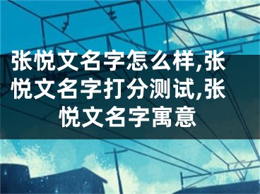 张悦文名字怎么样,张悦文名字打分测试,张悦文名字寓意