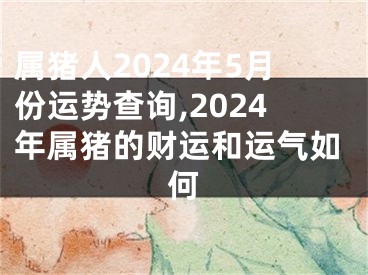 属猪人2024年5月份运势查询,2024年属猪的财运和运气如何