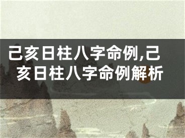 己亥日柱八字命例,己亥日柱八字命例解析