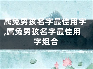属兔男孩名字最佳用字,属兔男孩名字最佳用字组合