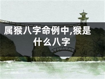 属猴八字命例中,猴是什么八字