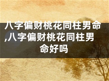 八字偏财桃花同柱男命,八字偏财桃花同柱男命好吗