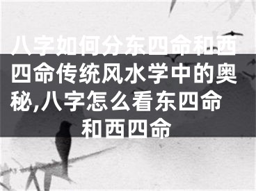 八字如何分东四命和西四命传统风水学中的奥秘,八字怎么看东四命和西四命