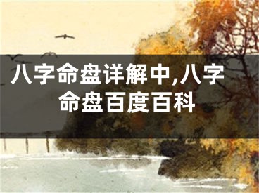 八字命盘详解中,八字命盘百度百科