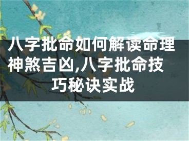 八字批命如何解读命理神煞吉凶,八字批命技巧秘诀实战