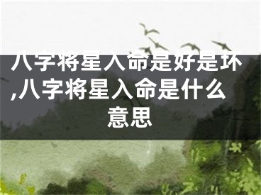 八字将星入命是好是坏,八字将星入命是什么意思