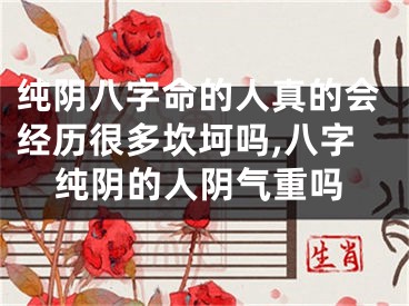 纯阴八字命的人真的会经历很多坎坷吗,八字纯阴的人阴气重吗