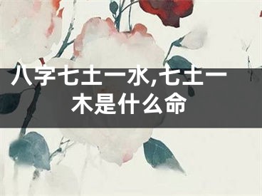 八字七土一水,七土一木是什么命