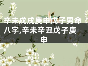 辛未戊戌庚申戊子男命八字,辛未辛丑戊子庚申