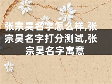 张宗昊名字怎么样,张宗昊名字打分测试,张宗昊名字寓意