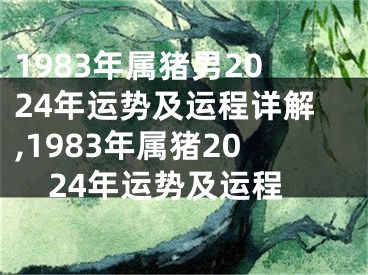 1983年属猪男2024年运势及运程详解,1983年属猪2024年运势及运程