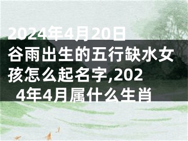 2024年4月20日谷雨出生的五行缺水女孩怎么起名字,2024年4月属什么生肖