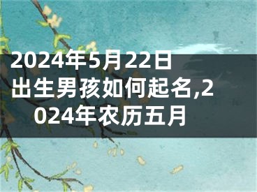 2024年5月22日出生男孩如何起名,2024年农历五月