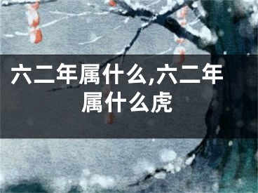 六二年属什么,六二年属什么虎