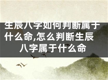 生辰八字如何判断属于什么命,怎么判断生辰八字属于什么命