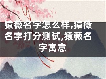 猿薇名字怎么样,猿薇名字打分测试,猿薇名字寓意