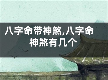 八字命带神煞,八字命神煞有几个