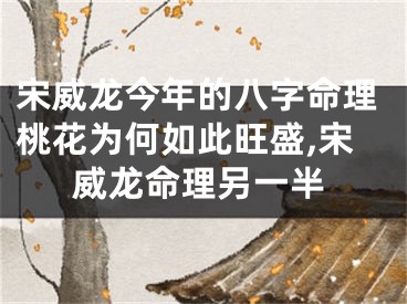 宋威龙今年的八字命理桃花为何如此旺盛,宋威龙命理另一半