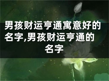 男孩财运亨通寓意好的名字,男孩财运亨通的名字