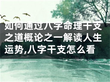 如何通过八字命理干支之道概论之一解读人生运势,八字干支怎么看