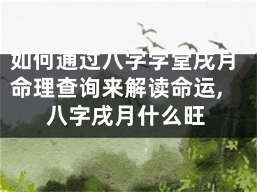 如何通过八字学堂戌月命理查询来解读命运,八字戌月什么旺