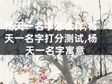 杨天一名字怎么样,杨天一名字打分测试,杨天一名字寓意