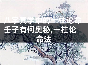 八字真学中的一柱论命壬子有何奥秘,一柱论命法