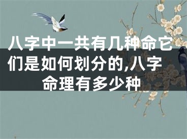 八字中一共有几种命它们是如何划分的,八字命理有多少种