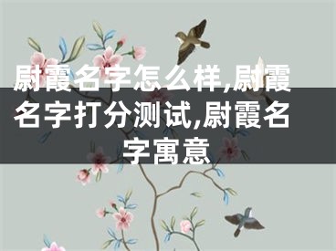 尉霞名字怎么样,尉霞名字打分测试,尉霞名字寓意