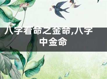 八字看命之金命,八字中金命