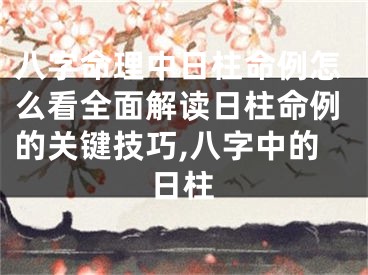 八字命理中日柱命例怎么看全面解读日柱命例的关键技巧,八字中的日柱