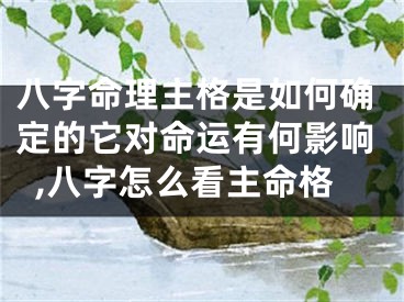 八字命理主格是如何确定的它对命运有何影响,八字怎么看主命格