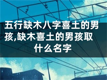 五行缺木八字喜土的男孩,缺木喜土的男孩取什么名字