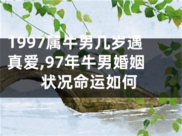1997属牛男几岁遇真爱,97年牛男婚姻状况命运如何