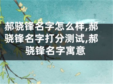 郝骁锋名字怎么样,郝骁锋名字打分测试,郝骁锋名字寓意
