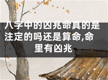 八字中的凶兆命真的是注定的吗还是算命,命里有凶兆