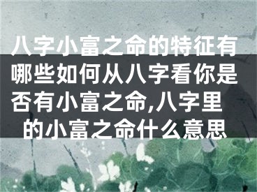 八字小富之命的特征有哪些如何从八字看你是否有小富之命,八字里的小富之命什么意思