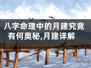 八字命理中的月建究竟有何奥秘,月建详解