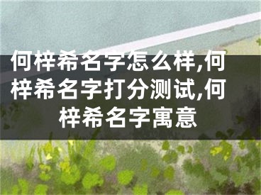 何梓希名字怎么样,何梓希名字打分测试,何梓希名字寓意