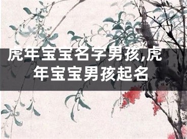 虎年宝宝名字男孩,虎年宝宝男孩起名