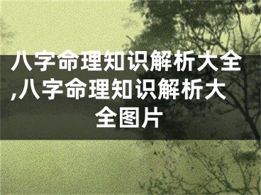 八字命理知识解析大全,八字命理知识解析大全图片