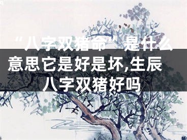 “八字双猪命”是什么意思它是好是坏,生辰八字双猪好吗