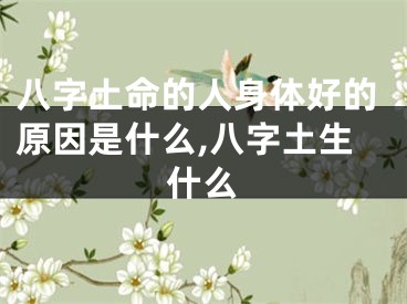 八字土命的人身体好的原因是什么,八字土生什么