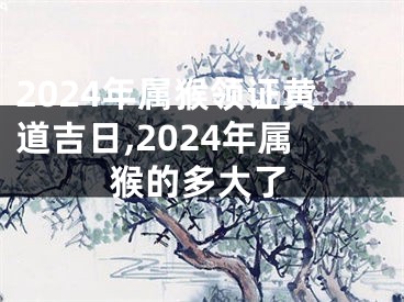 2024年属猴领证黄道吉日,2024年属猴的多大了