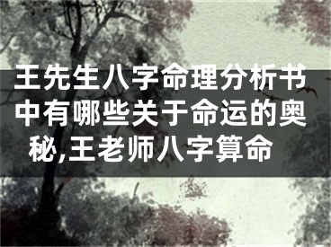 王先生八字命理分析书中有哪些关于命运的奥秘,王老师八字算命