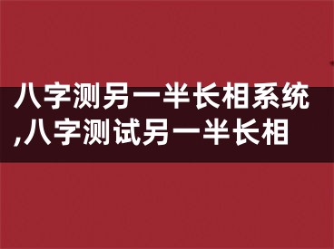 八字测另一半长相系统,八字测试另一半长相